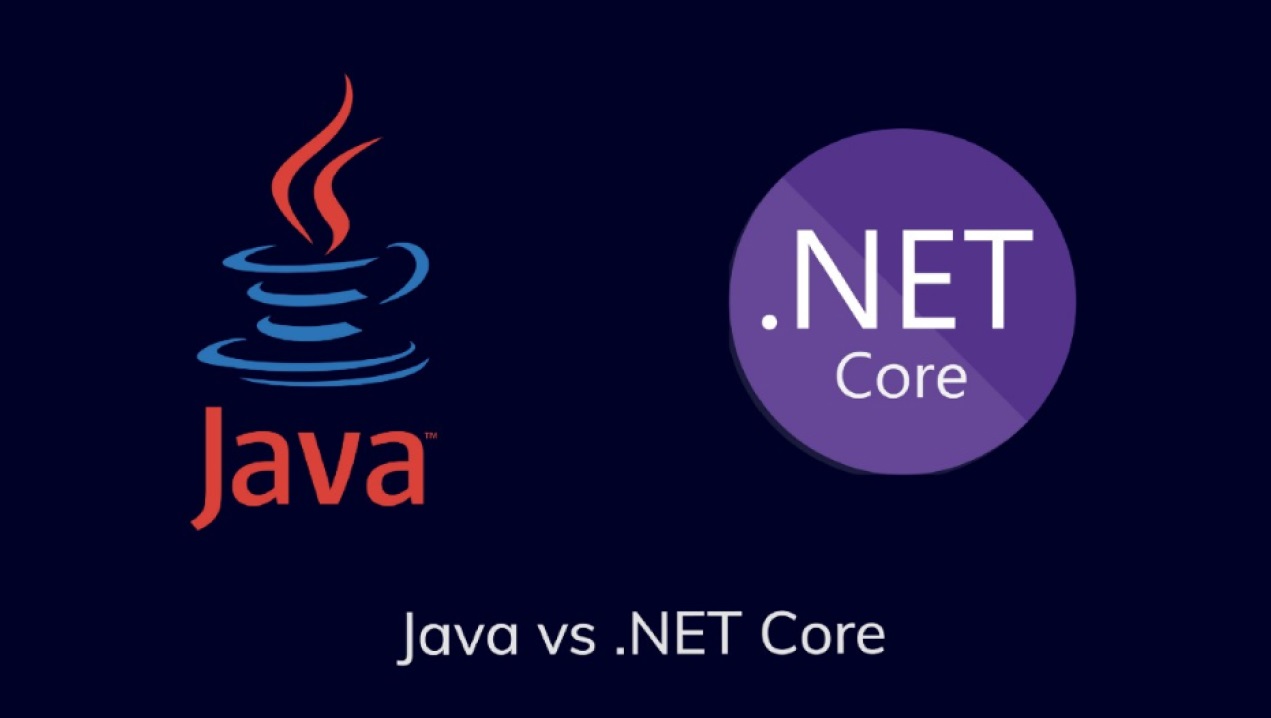 .NET vs Java: the True Comparison