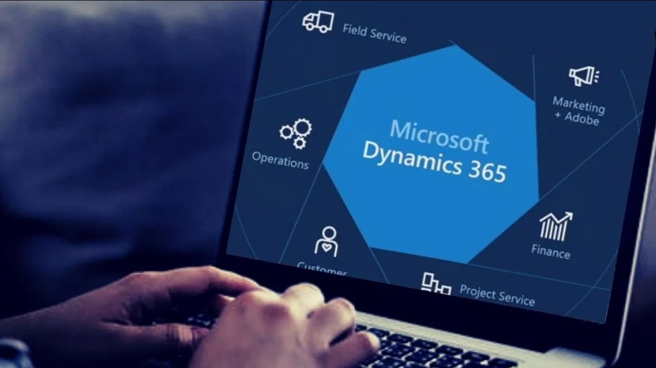 Microsoft Dynamics 365 Customization